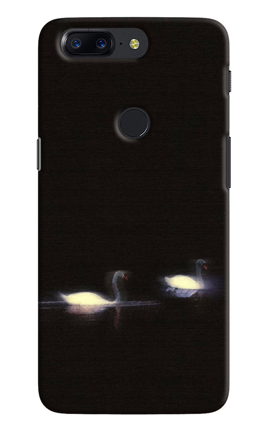 Silent Swans Oneplus 5T Back Cover, Hard case