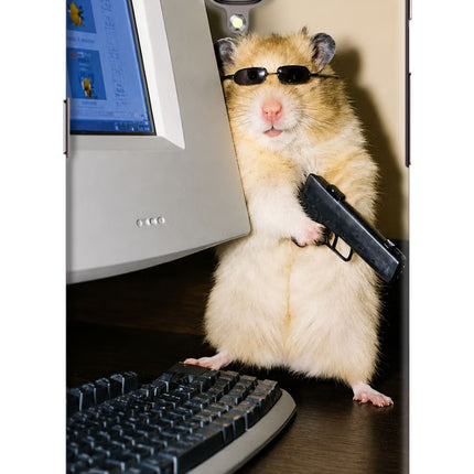Hacker Hamster Oneplus 3/3T Hard Case Back Cover by Casekaro