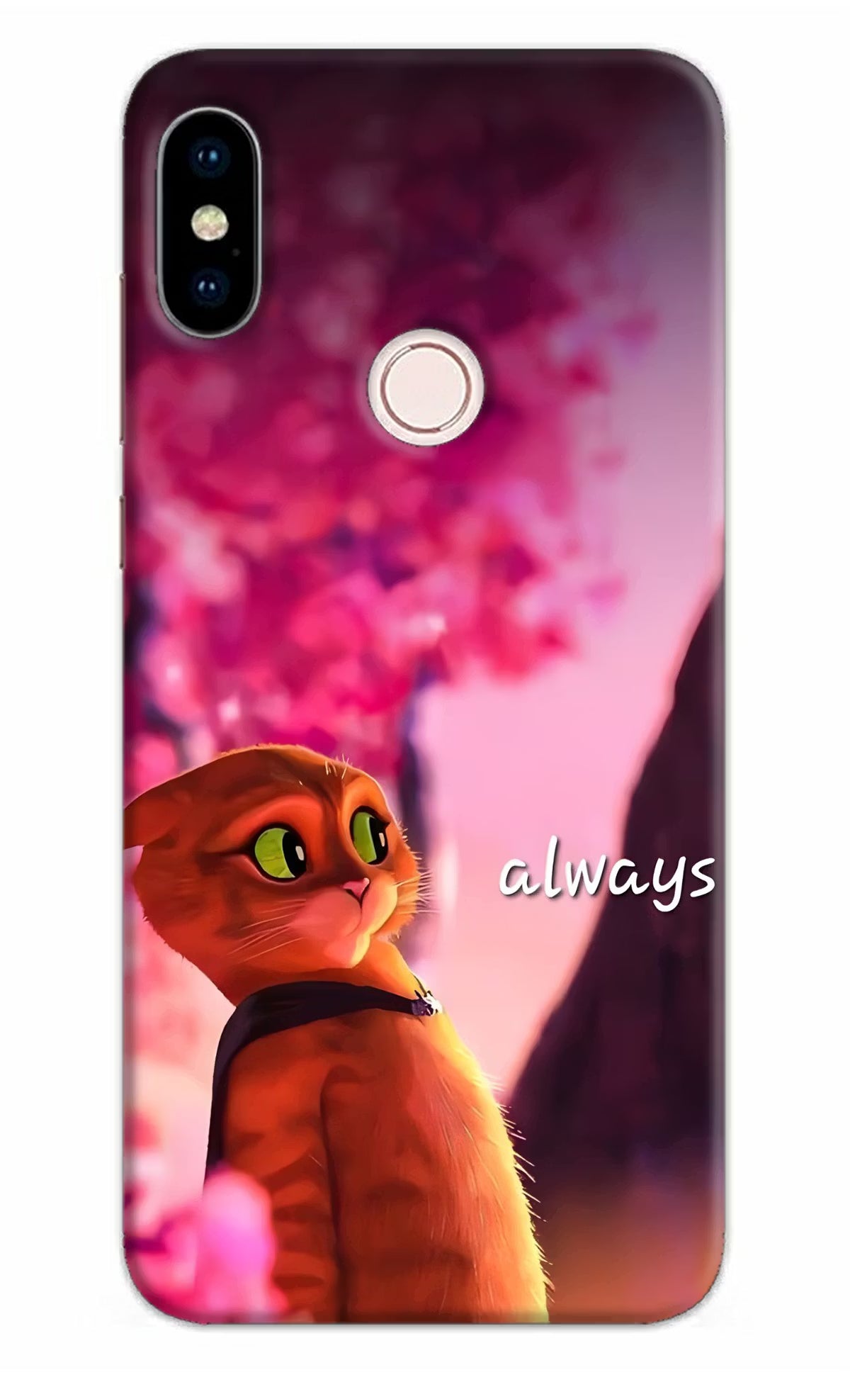 Always Cat Redmi Note 5 Pro Back Cover
