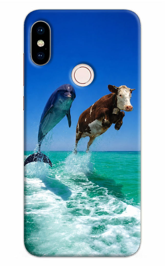 Dolphin vs Cow Redmi Note 5 Pro Hard Case Back Cover by Casekaro