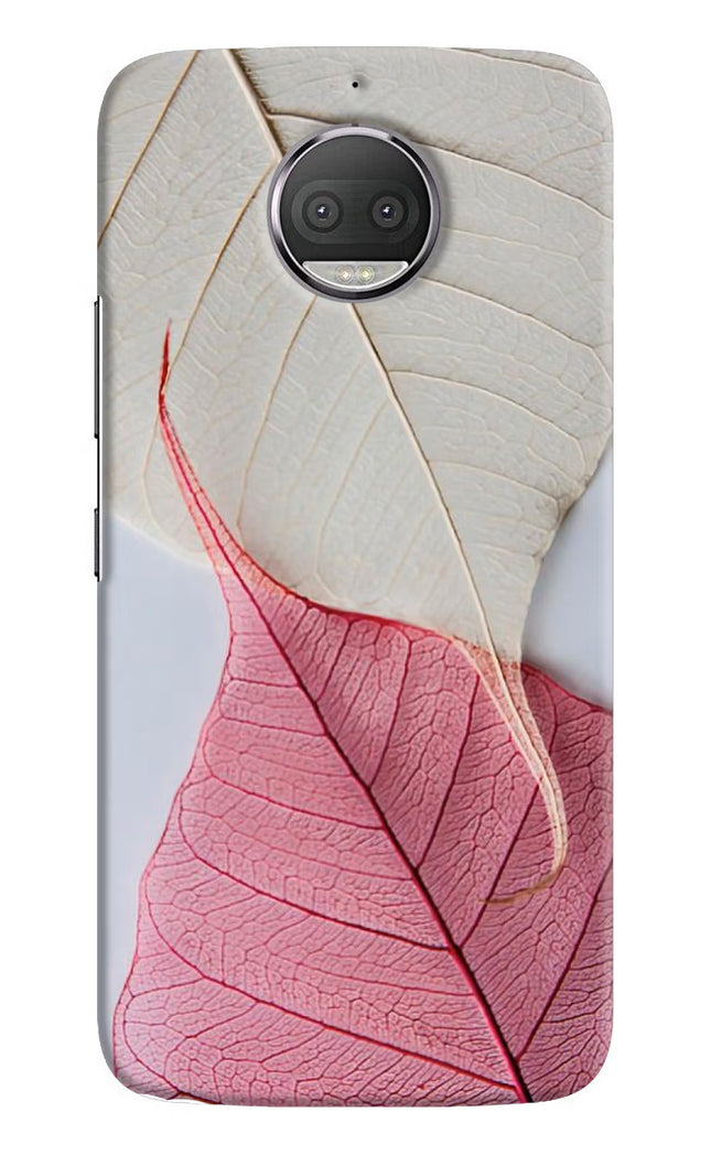 White Pink Leaf Moto G5S plus Hard Case Back Cover by Casekaro