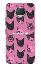Pink Cats Moto G5S plus Hard Case Back Cover by Casekaro