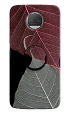 Leaf Pattern Moto G5S plus Pop Case by Casekaro