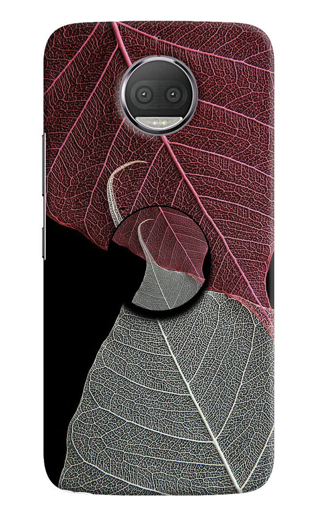 Leaf Pattern Moto G5S plus Pop Case by Casekaro