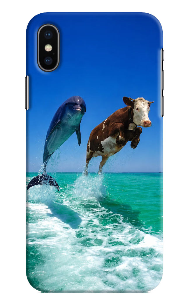 Dolphin vs Cow iPhone X Hard Case Back Cover by Casekaro