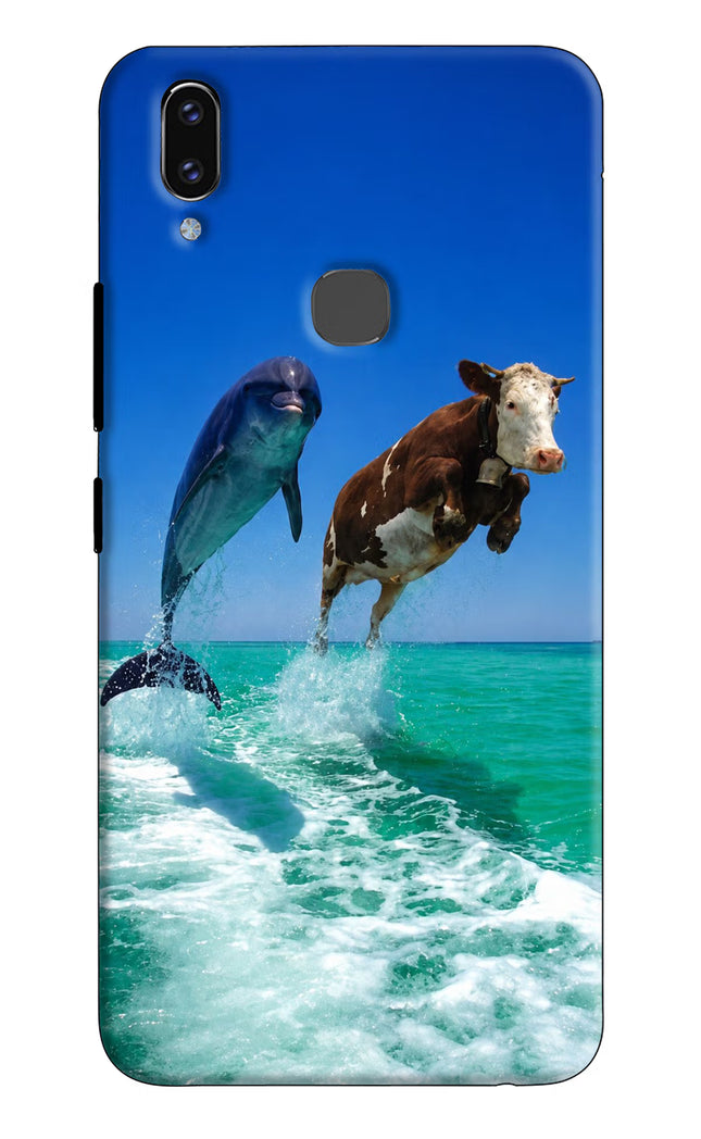 Dolphin vs Cow Vivo V9/V9 Pro/V9 Youth Hard Case Back Cover by Casekaro