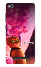 Always Cat Redmi 4A Hard Case Back Cover by Casekaro