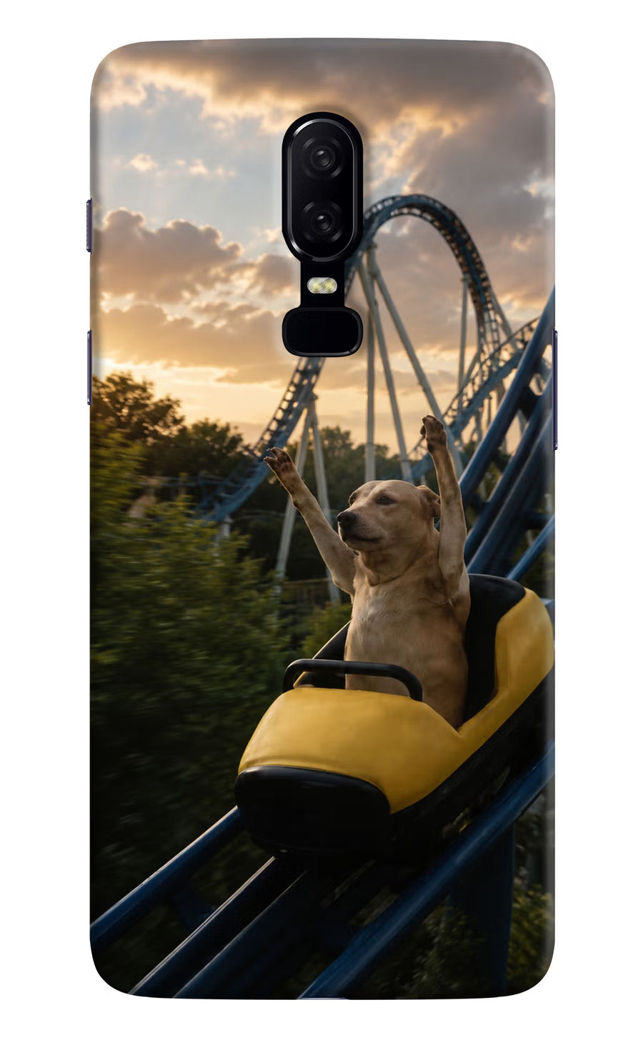 Rollercoaster Dog Oneplus 6 Back Cover, Hard case