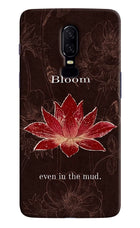 Bloom Oneplus 6 Back Cover