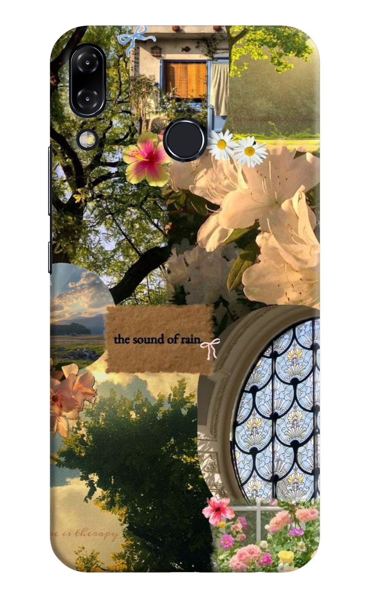 Rain Asus Zenfone 5Z Back Cover