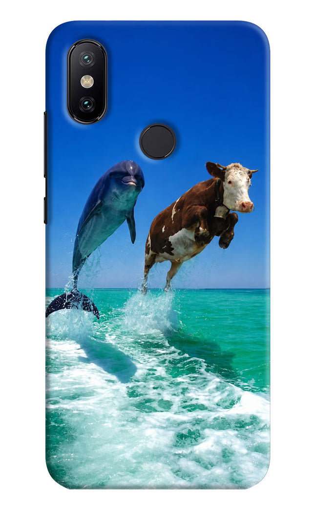 Dolphin vs Cow Mi A2 Hard Case Back Cover by Casekaro