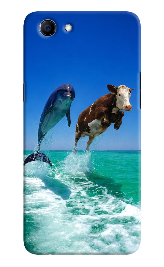 Dolphin vs Cow Realme 1 Hard Case Back Cover by Casekaro