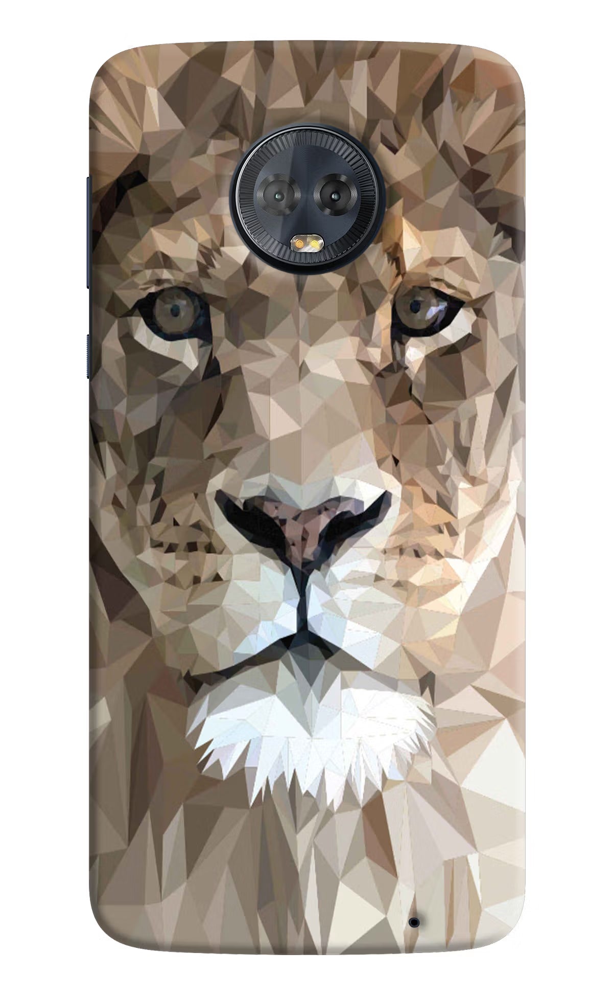 Lion Art Moto G6 Hard Case Back Cover by Casekaro