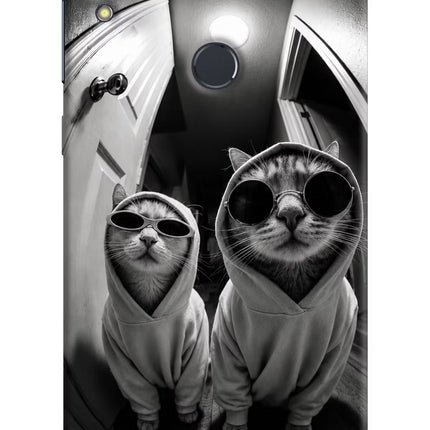 Hood Cats Asus Zenfone Max Pro M1 Hard Case Back Cover by Casekaro