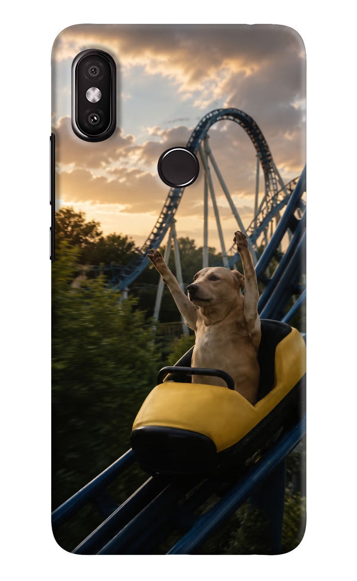 Rollercoaster Dog Redmi Y2 Back Cover