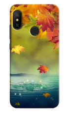 Flowers Redmi 6 Pro Hard Case Back Cover by Casekaro