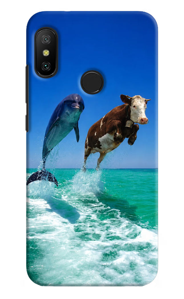 Dolphin vs Cow Redmi 6 Pro Hard Case Back Cover by Casekaro