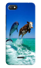 Dolphin vs Cow Redmi 6A Hard Case Back Cover by Casekaro