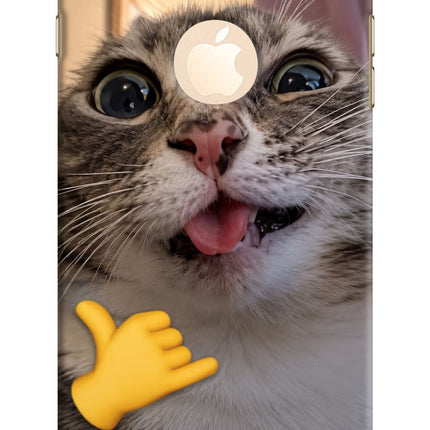 Silly Cat Call iPhone 8 Plus Logocut Hard Case Back Cover by Casekaro