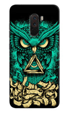 Green Owl Poco F1 Hard Case Back Cover by Casekaro
