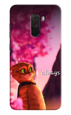 Always Cat Poco F1 Hard Case Back Cover by Casekaro