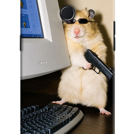 Hacker Hamster Realme 2 Pro Hard Case Back Cover by Casekaro