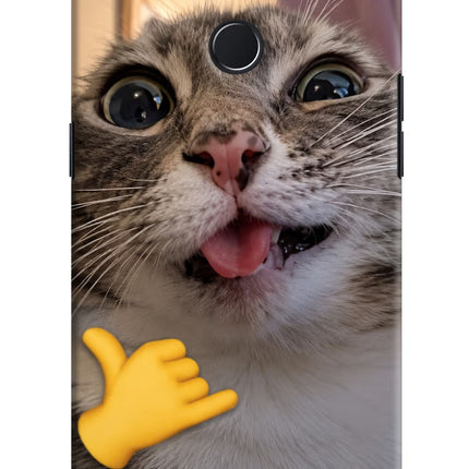 Silly Cat Call Realme 2 Pro Hard Case Back Cover by Casekaro
