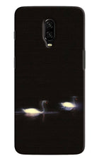 Silent Swans Oneplus 6T Back Cover