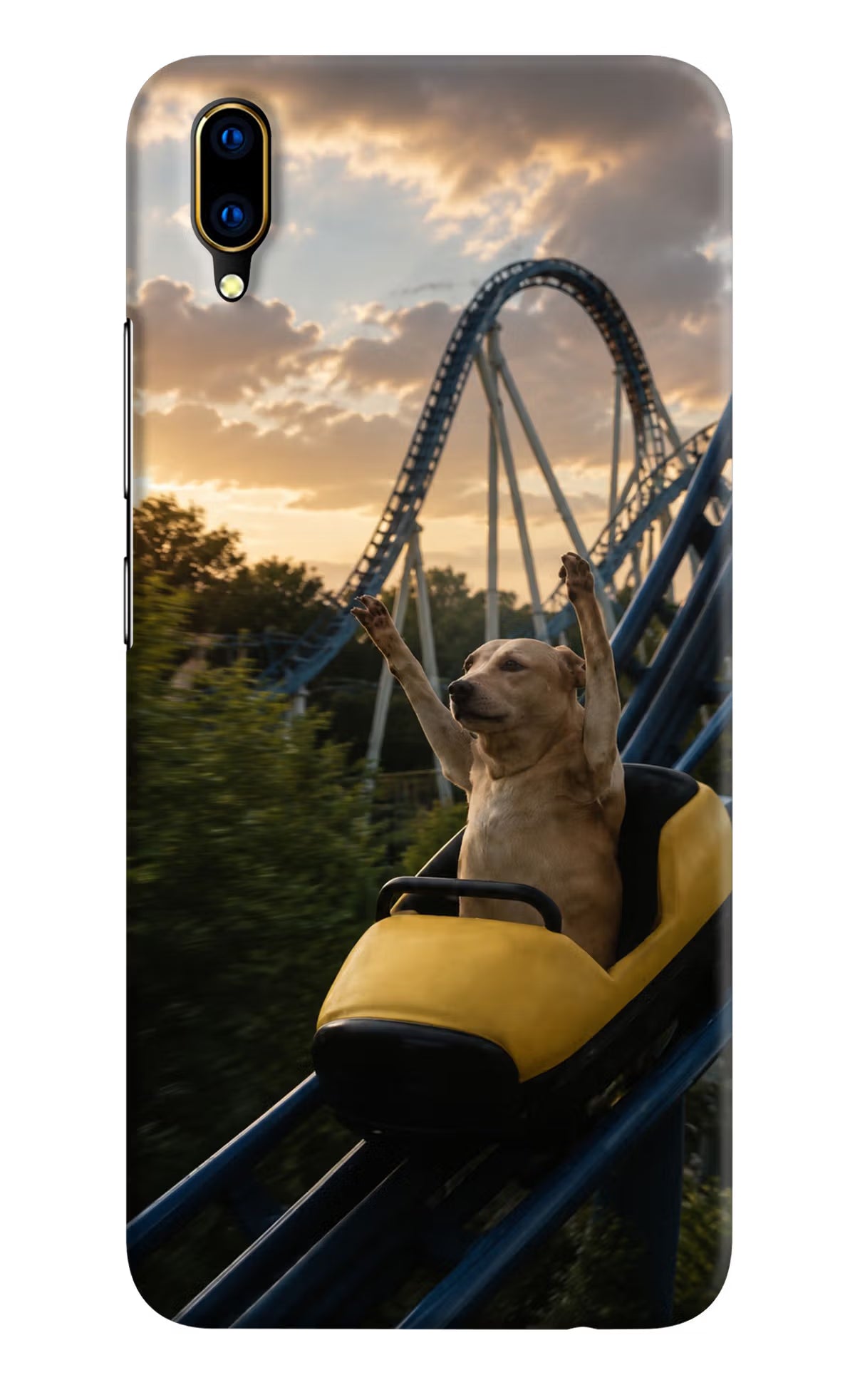 Rollercoaster Dog Vivo V11 Pro Back Cover