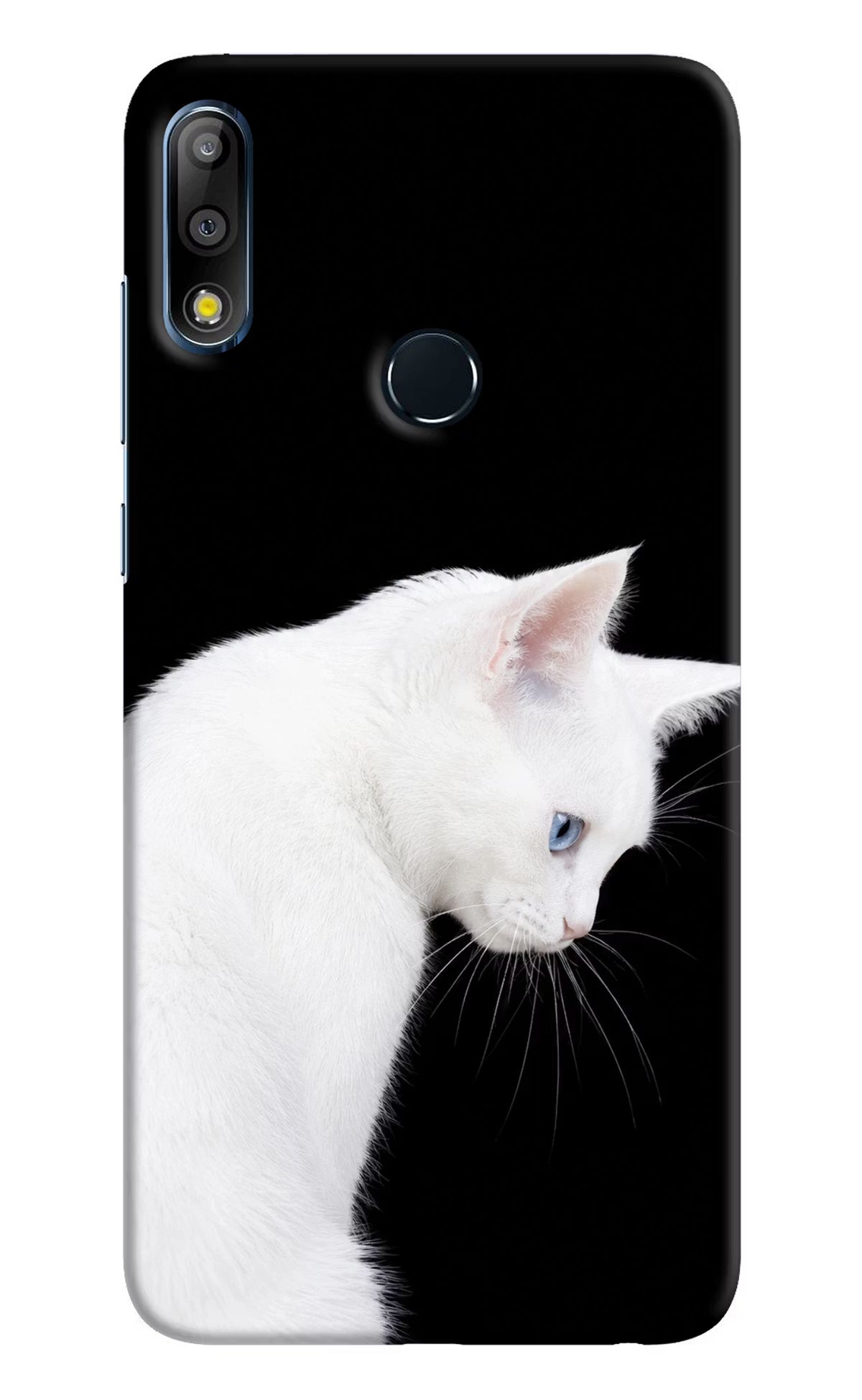 Snow Gaze Asus Zenfone Max Pro M2 Back Cover