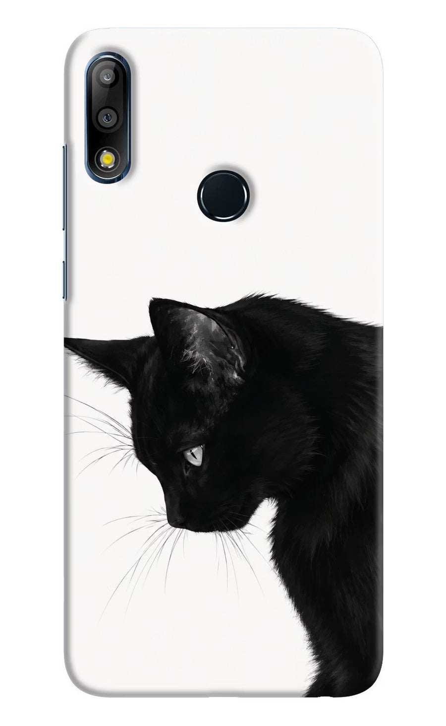 Shadow Gaze Asus Zenfone Max Pro M2 Back Cover, Hard case