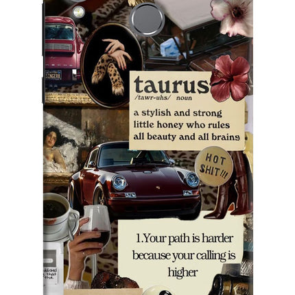 Taurus Zodiac Honor Play Hard Case Back Cover by Casekaro