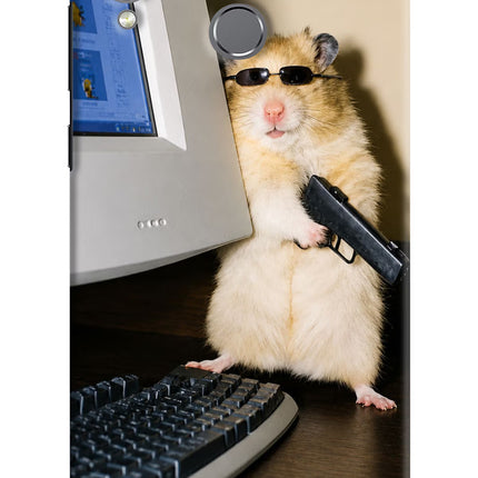 Hacker Hamster Honor Play Hard Case Back Cover by Casekaro