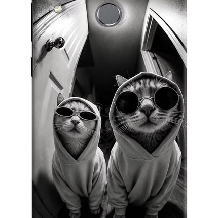 Hood Cats Honor Play Hard Case Back Cover by Casekaro