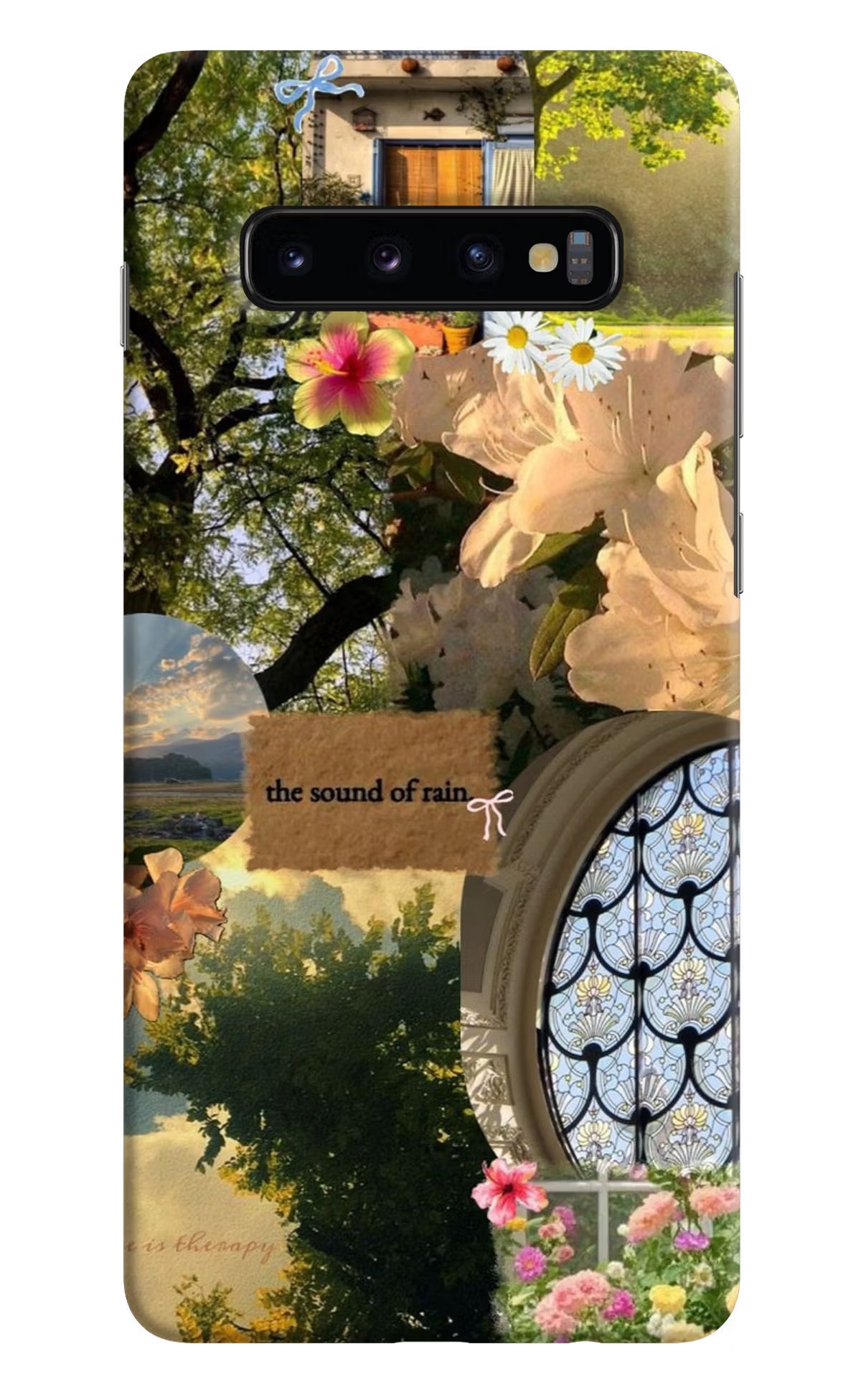 Rain Samsung S10 Plus Back Cover