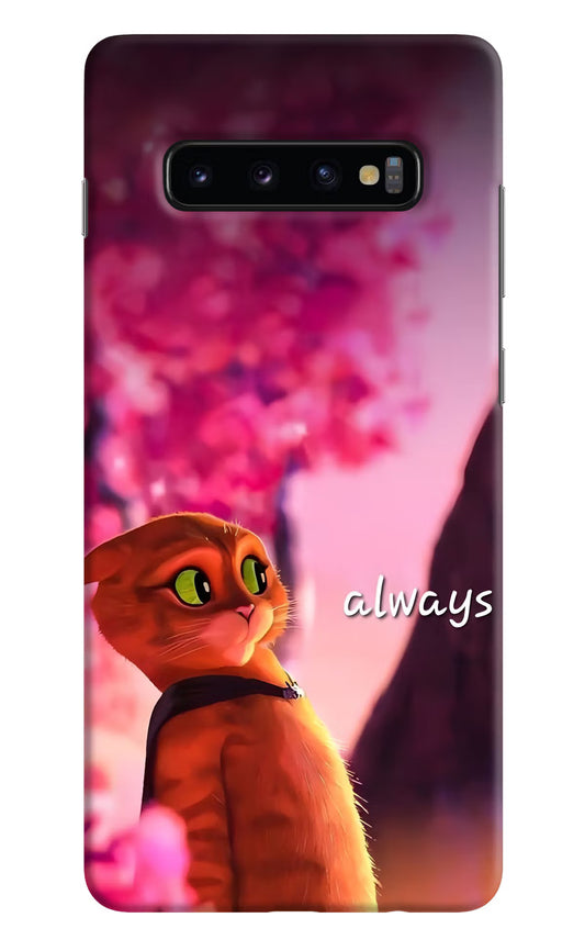 Always Cat Samsung S10 Plus Hard Case Back Cover by Casekaro