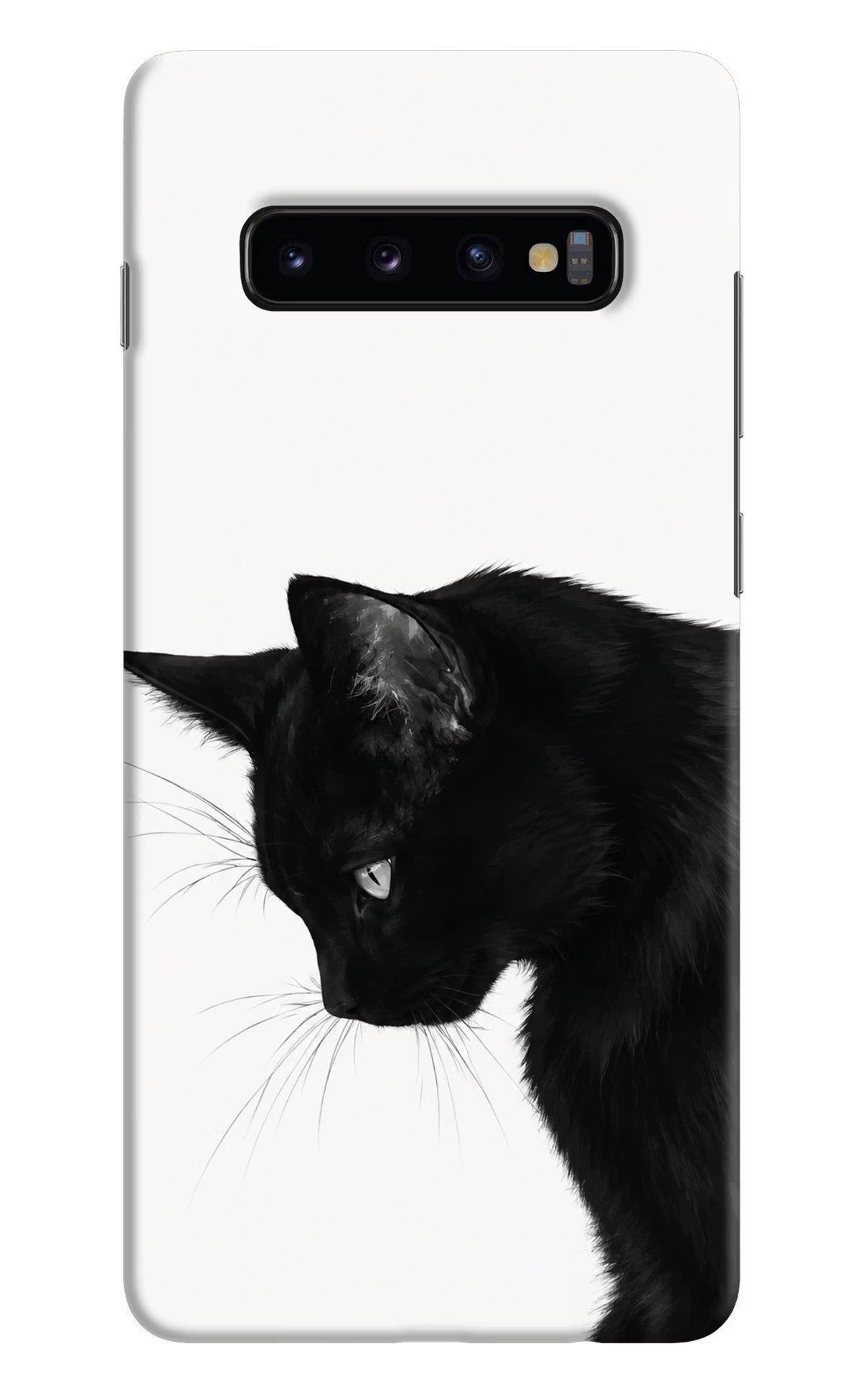 Shadow Gaze Samsung S10 Plus Back Cover