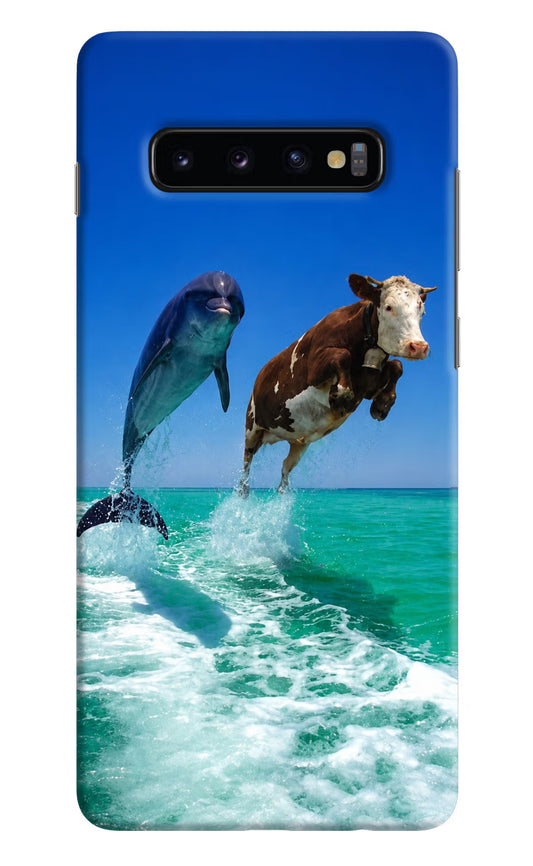 Dolphin vs Cow Samsung S10 Plus Hard Case Back Cover by Casekaro
