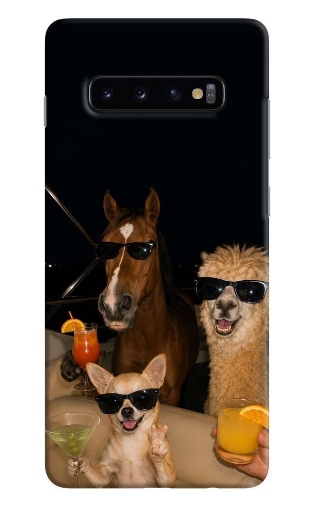 Party Squad Samsung S10 Plus Hard Case Back Cover by Casekaro