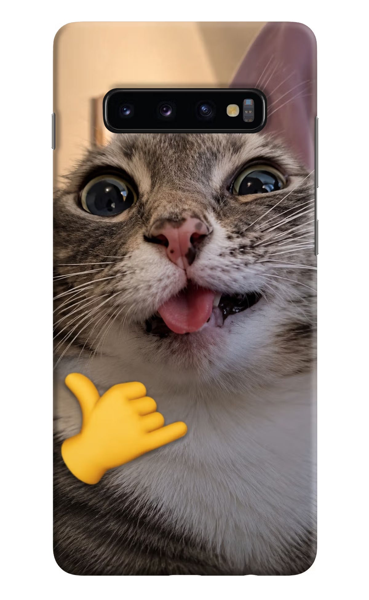 Silly Cat Call Samsung S10 Plus Back Cover