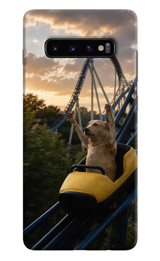 Rollercoaster Dog Samsung S10 Plus Hard Case Back Cover by Casekaro