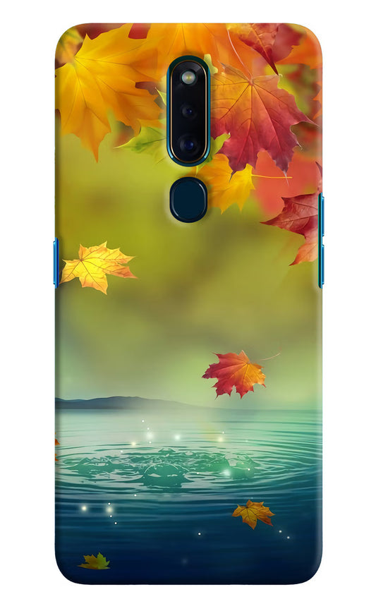 Flowers Oppo F11 Pro Hard Case Back Cover by Casekaro