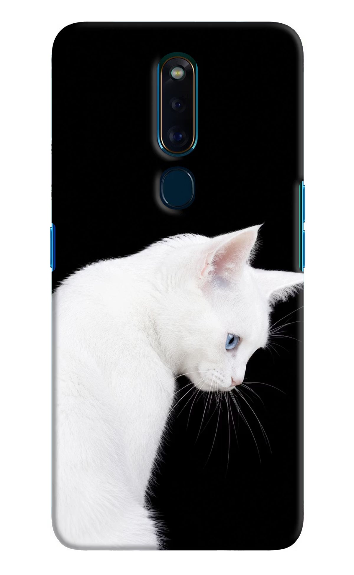 Snow Gaze Oppo F11 Pro Back Cover