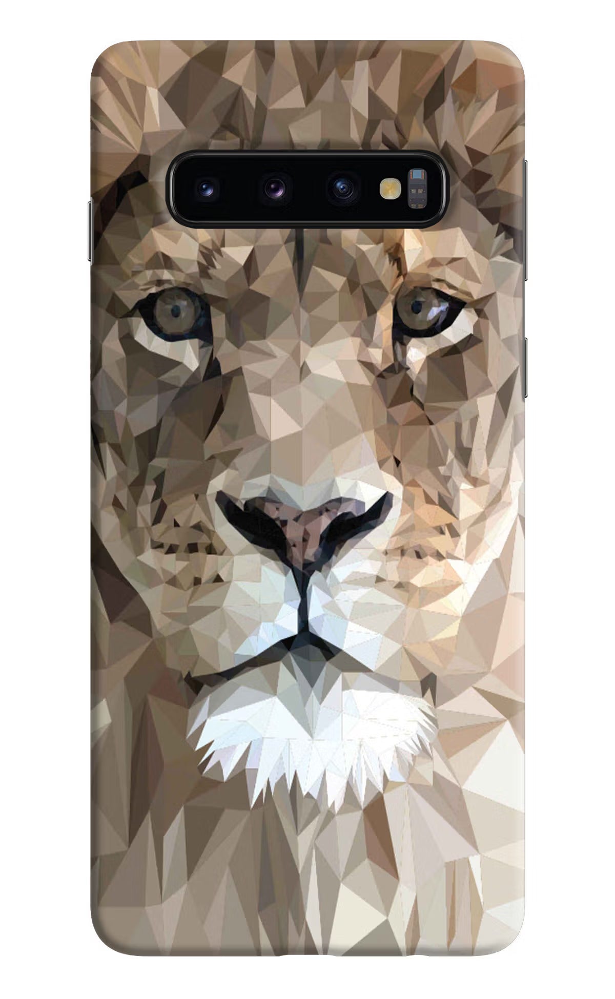 Lion Art Samsung S10 Hard Case Back Cover by Casekaro