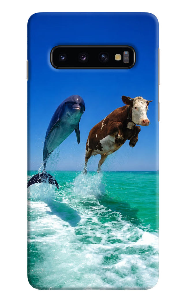 Dolphin vs Cow Samsung S10 Hard Case Back Cover by Casekaro