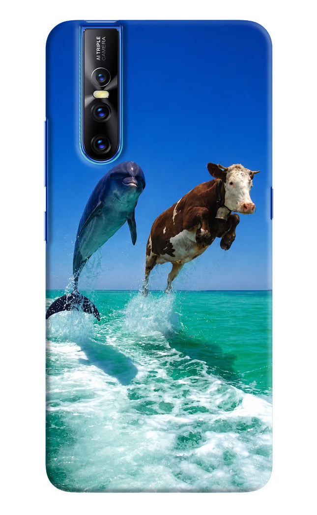 Dolphin vs Cow Vivo V15 Pro Hard Case Back Cover by Casekaro