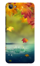 Flowers Vivo Y81i Hard Case Back Cover by Casekaro