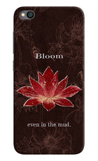 Bloom Redmi Go Hard Case Back Cover by Casekaro