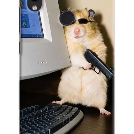 Hacker Hamster Redmi Note 7S Hard Case Back Cover by Casekaro
