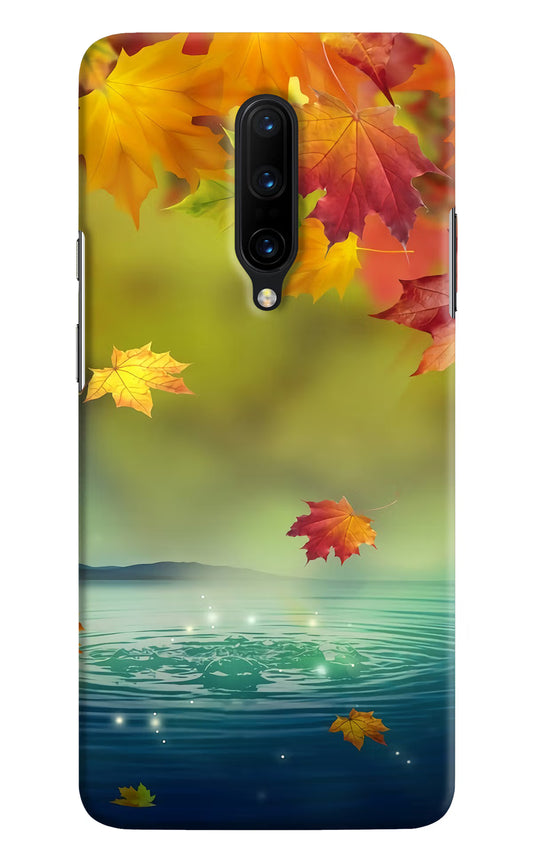 Flowers Oneplus 7 Pro Hard Case Back Cover by Casekaro